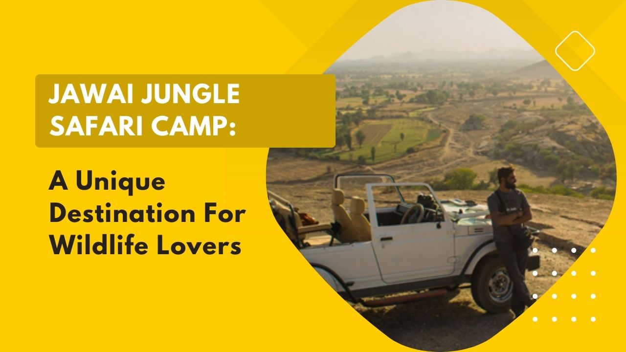 Jawai Jungle Safari Camp A Unique Destination For Wildlife Lovers