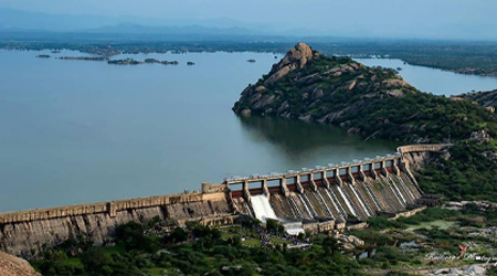 Jawai Leopard Safari