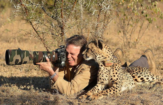 Wildlife Photographer