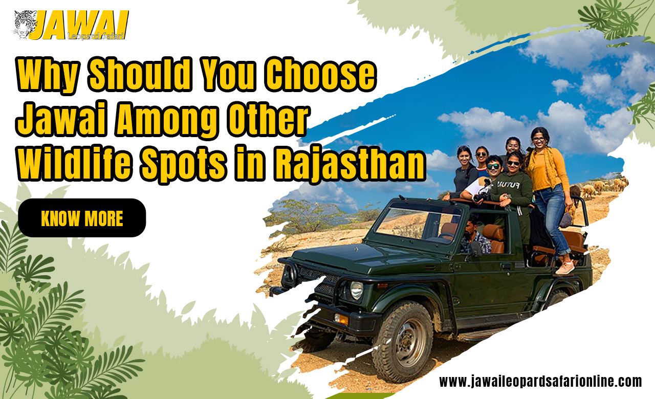 Why Should You Choose Jawai Among Other Wildlife Spots in Rajasthan