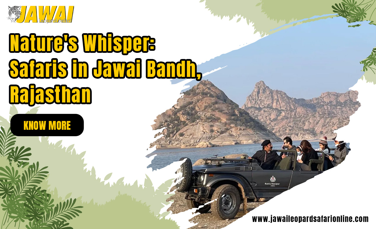 Safaris in Jawai Bandh, Rajasthan