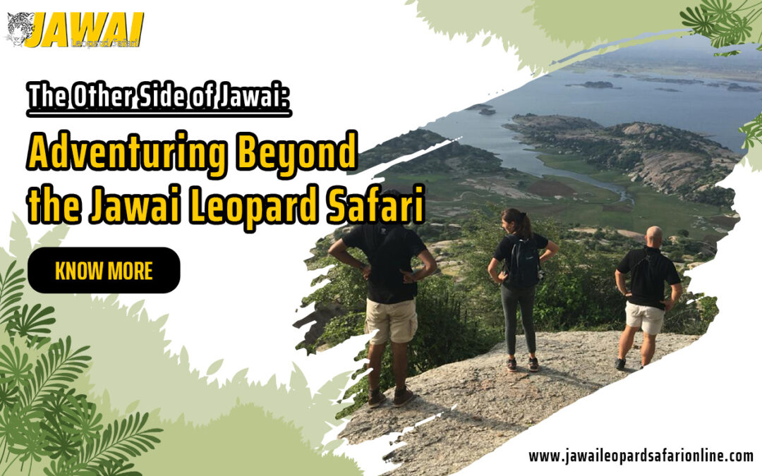 The Other Side of Jawai: Adventuring Beyond the Jawai Leopard Safari