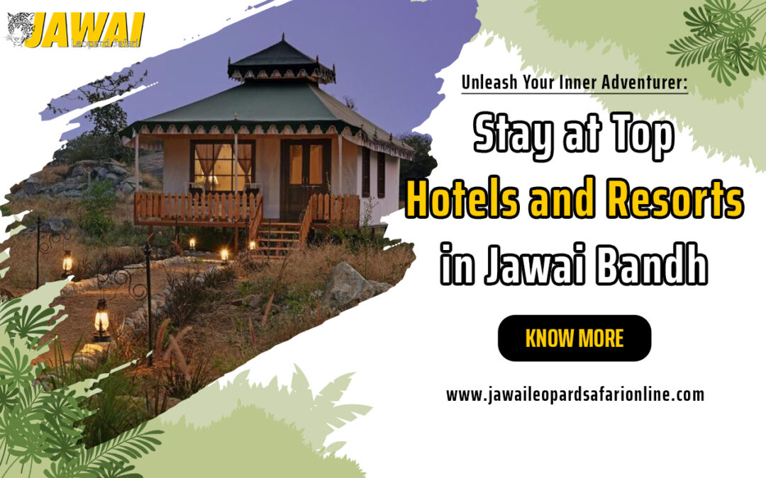 Unleash Your Inner Adventurer: Stay at Top Hotels and Resorts in Jawai Bandh