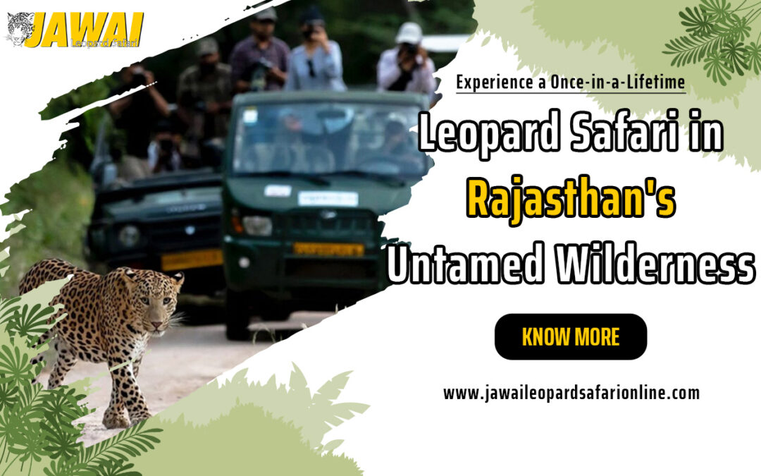 Experience a Once-in-a-Lifetime Leopard Safari in Rajasthan’s Untamed Wilderness