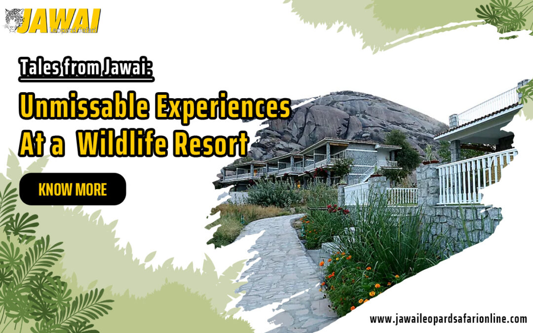 Tales from Jawai: Unmissable Experiences At a  Wildlife Resort