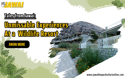 Tales from Jawai: Unmissable Experiences At a Wildlife Resort