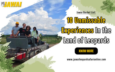 Jawai Bucket List: 10 Unmissable Experiences In the Land of Leopards