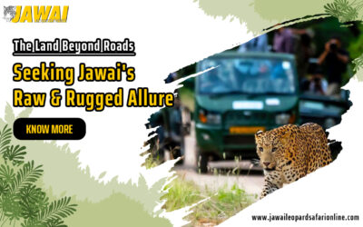 The Land Beyond Roads – Seeking Jawai’s Raw & Rugged Allure