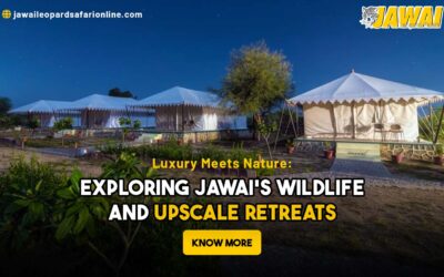 Luxury Meets Nature: Exploring Jawai’s Wildlife and Upscale Retreats