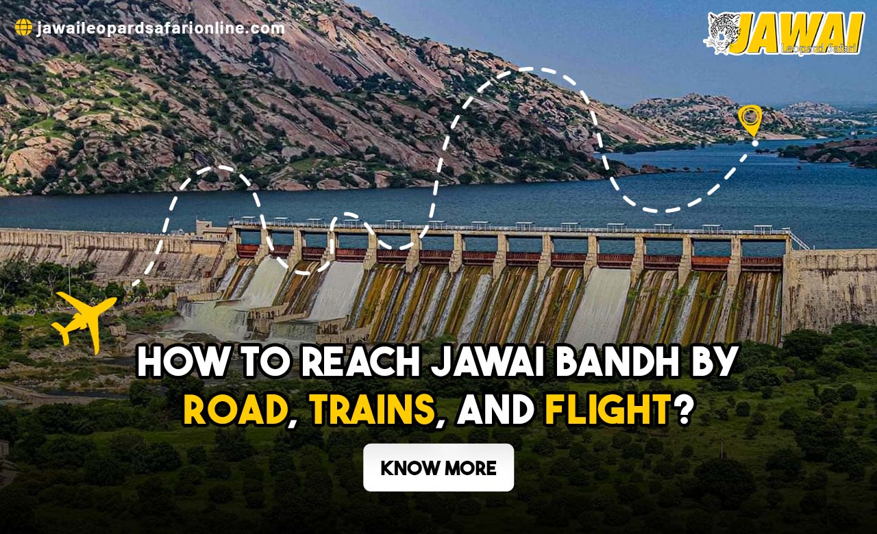 How to Reach Jawai Bandh